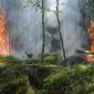Ilustrasi kebakaran hutan akibat terjadi kekeringan. (Kredit Foto: Pixabay/Istimewa)