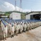 Karyawan tambang nikel PT IWIP di Kabupaten Halmahera Tengah, Maluku Utara. (Kredit Foto: IWIP)