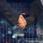 Investor China bakal menggarap proyek lumbung pangan modern lewat kerja sama dengan pemerintah daerah di Maluku Utara. (Kredit Foto: Istockphoto/Istimewa)