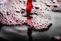 (Kredit Foto: Ilustrasi Istimewa dari Pixabay.com)